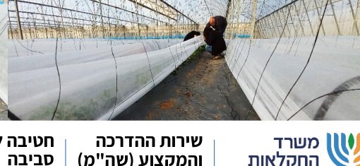 פריסת יריעות כיסוי בבית צמיחה
